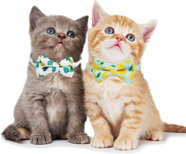 2-Pack Breakaway Cat Collars with Removable Double-Layer Bow Tie and Bell for Boy and Girl Cats,Safety Kitten Collars Suitable for Festivals and Daily. (Lemon&Pineapple) - Image 4