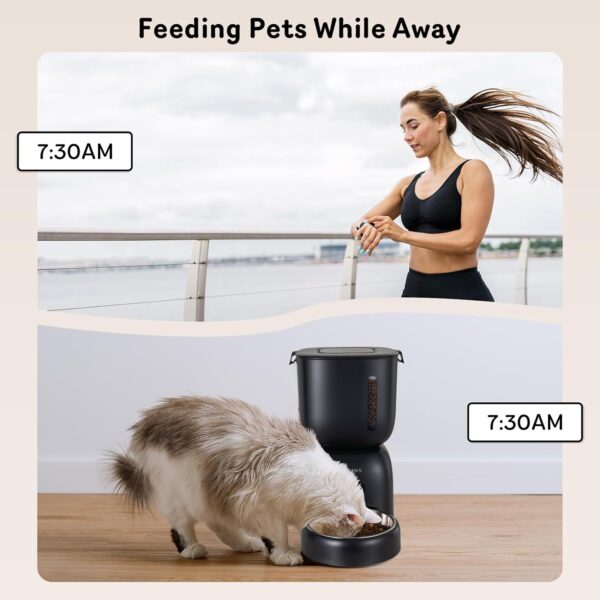 Automatic Cat Feeder and Cat Water Dispenser FW1, Wire or Battery Cat Food Dispenser Timer Pet Feeder - Locking Lid, Desiccant Bag, Programmable Portion Control, 4 Daily Meals, 10s Voice Recorder - Image 7