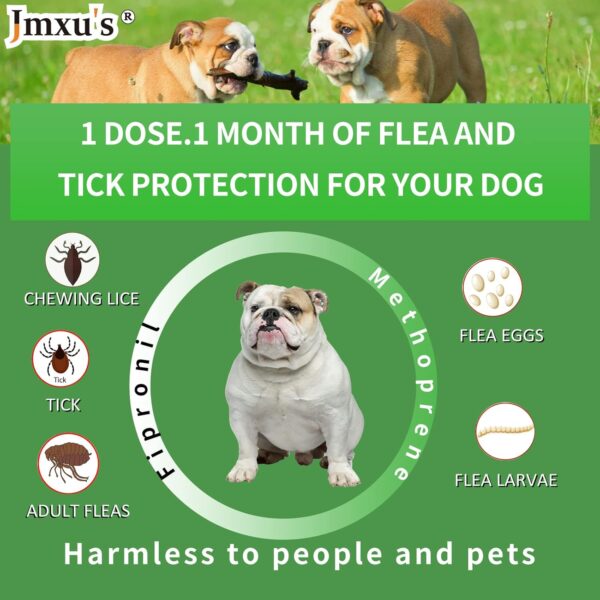 Flea and Tick Prevention for Dogs, Dog Flea & Tick Control with Fipronil, Long-Lasting and Fast-Acting Topical Flea & Tick Treatment Drops for Medium Dogs, 23 to 44 lbs, 3 Doses - Image 3