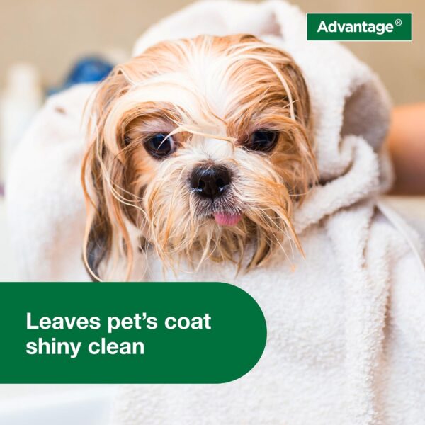 Advantage Dog Flea & Tick Shampoo for Puppies & Adult Dogs | Kills Fleas & Ticks | 12 oz. - Image 7