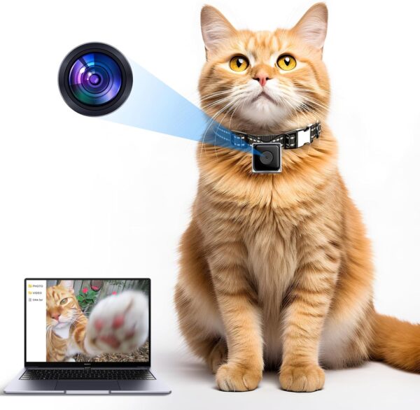 Cat Camera Collar,No APP No WiFi Needed Cordless Cat Collar Camera with Video Record, XS-Size Collar for Cats/Small Dogs,Pet Collar Camera Outdoor,Camera for Cat Collar(NO SD Card Included)