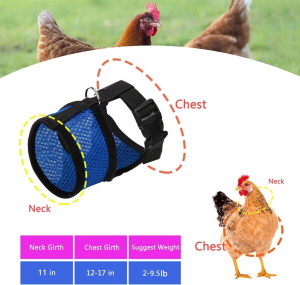 4Pcs Chicken Harness and Leash Set with Adjustable Upgrade and Improvement Breathable Comfortable Suitable for 2-9.5 Ib Chicken, Duck, Goose As Gifts for Festival.（Yellow Blue Green Pink） M - Image 5