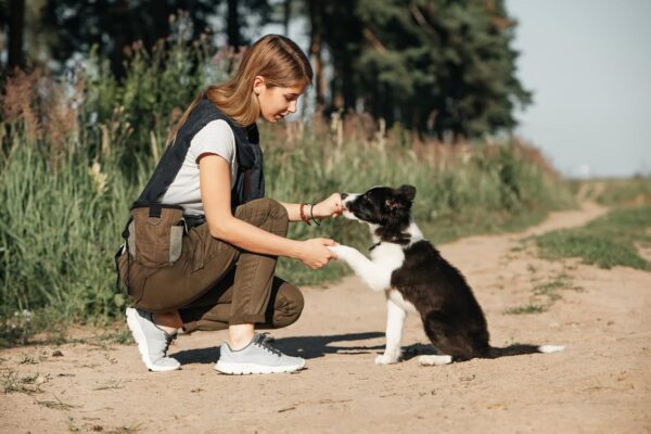 Dog Treat Pouch with Training Clicker & Collapsible Bowl/Hands-Free Walking Bag/Dog Treat Bag with Built-in Poop Bag Dispenser, Adjustable Waist Belt/Quick-Access to Treats, Kibble & Snacks - Image 2