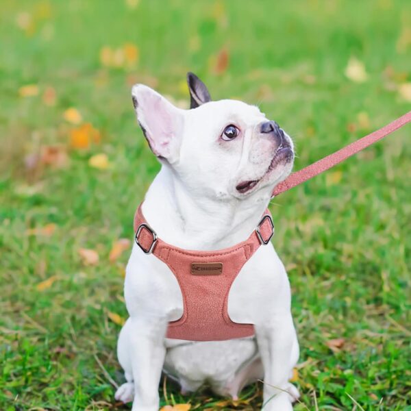 Dog Harness and Leash Set, S No Pull Adjustable Puppy Harness with Multifunction Red Dog Leash and Collar, Soft No Choke Escape Proof Pet Harness Vest for Small Dogs and Cats (Red, S) - Image 3