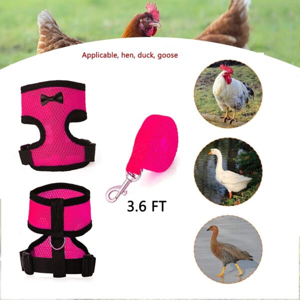 Chicken Harness and Leash, Modified Adjustable Breathable Harness Specially Designed for Rooster and Hens Duck Goose Training and Walking, Chicken Will Be Very Happy(2pcs) (Pink) M - Image 5