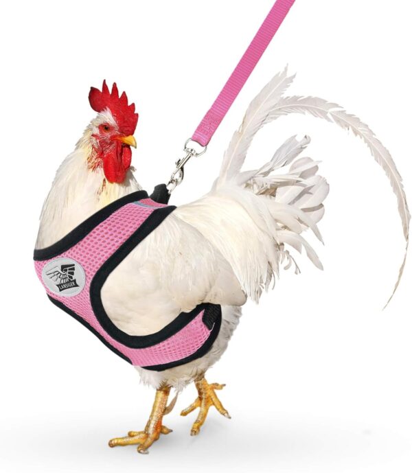 Adjustable Chicken Harness with Leash Small Pet Harness for Duck Goose Hen Traning Walking