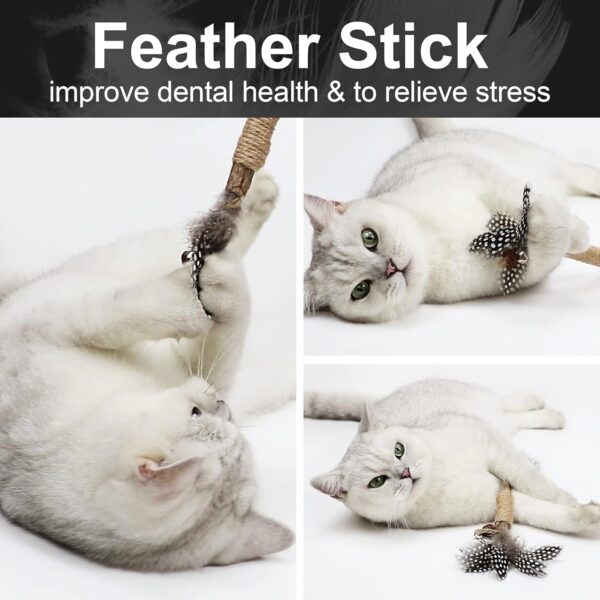 PAZ'S GIFT Catnip Toy Cat Toys Catnip Toy cat chew Toy cat Kicking silvervine Stick Teeth Cleaning Cute Kitten Teething Indoor Interactivecat Dental Care Matatabi (Feather 2pcs) - Image 7