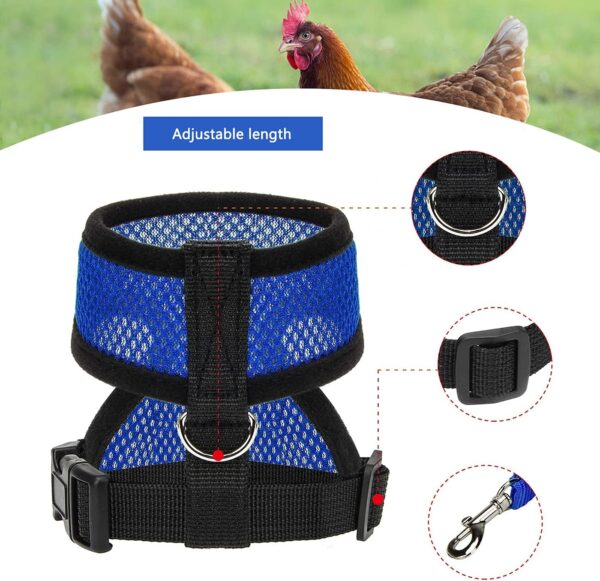 4Pcs Chicken Harness and Leash Set with Adjustable Upgrade and Improvement Breathable Comfortable Suitable for 2-9.5 Ib Chicken, Duck, Goose As Gifts for Festival.（Yellow Blue Green Pink） M - Image 3