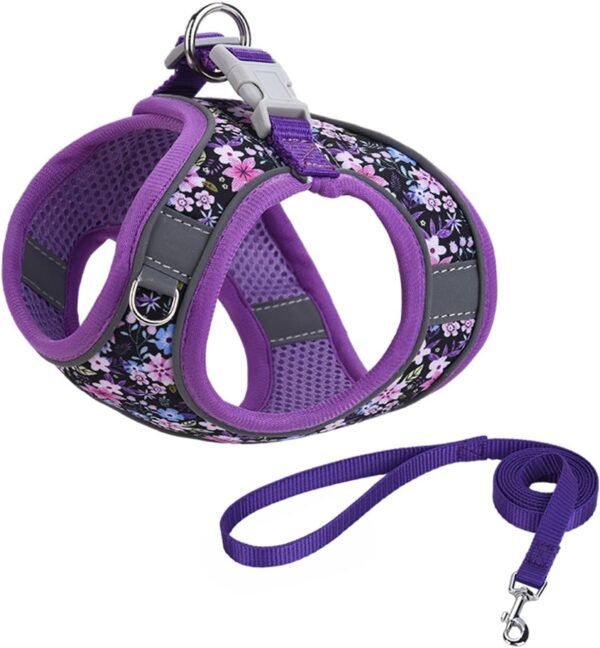 Step in Dog Harness No Pull Flower Adjustable Soft Mesh Padded Reflective Velcro Pet Vest Harness and Leash Set for Small Medium Dogs - Image 2