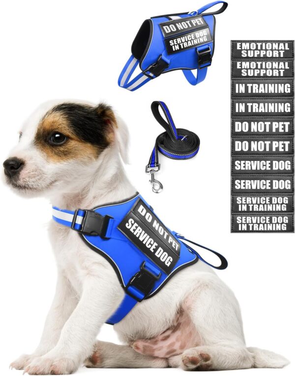 Service Dog Vest Harness and Leash Set+10 Patches for Puppy Small Dogs,Do Not Pet Emotional Support Dog Vest with 2 Soft Padded Handle for Everyday/Training (Blue XS)