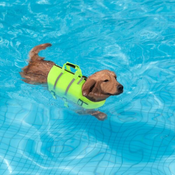 SAWMONG Dog Life Jacket,Dog Swimming Vest with Ripstop and High Flotation for Small Medium Large Dogs,Reflective Lightweight Dog Life Preserver with Rescue Handle for Swimming Boating Green L - Image 6