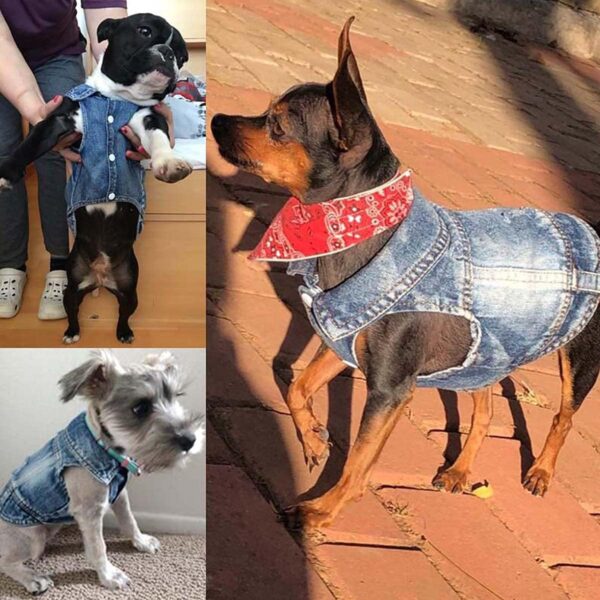 Dog Jean Jacket, Puppy Blue Denim Lapel Vest Coat Costume, Girl Boy Dog T-Shirt Clothes, Cool and Funny Apparel Outfits, Machine Washable Dog Outfits for Small Medium Dogs Cats (M) - Image 4