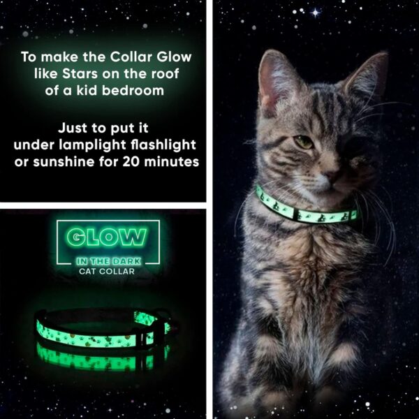 Pawtitas Glow in The Dark Cat Collar with Safety Buckle and Removable Bell Cat Collar Kitten Collar Green Cat Collar - Image 3