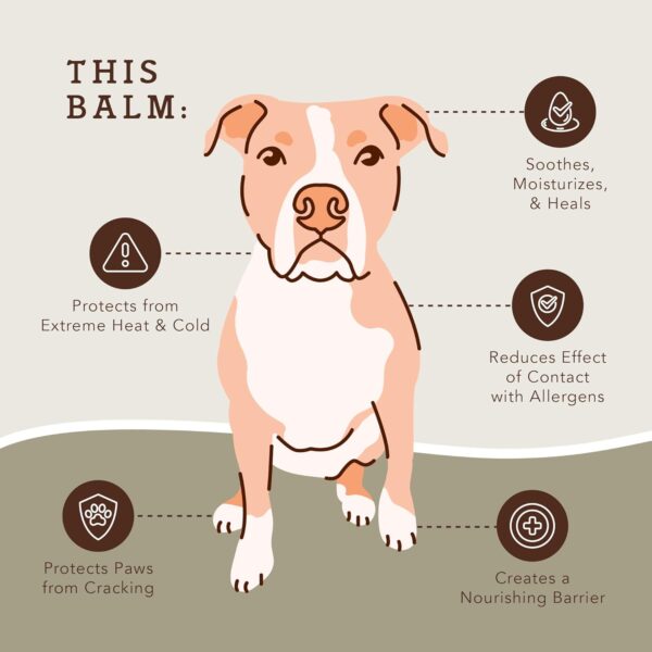 Natural Dog Company PawTection Dog Paw Balm, Protects Paws from Hot Surfaces, Sand, Salt, & Snow, Organic, All Natural Ingredients (0.15 oz Trial Stick) - Image 2