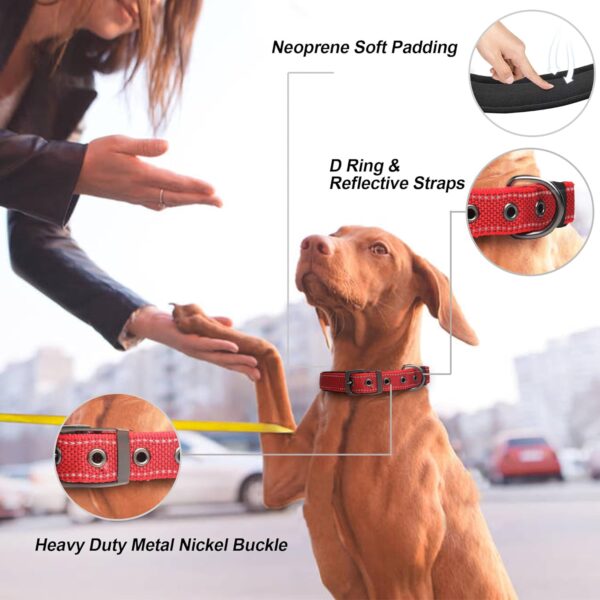 PetiFine Dog Collar with Metal Buckle, Heavy Duty Dog Collar with Soft Neoprene Padded, Adjustable Reflective Nylon Dog Collars for Small Medium Large Dogs(S, Red) - Image 2