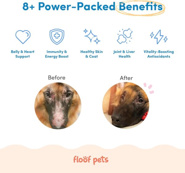 8 in 1 Dog Multivitamin Treats - 120 Chews - Vitamin Supplement Treats with Probiotics for Comprehensive Canine Health - Formulated with Alaskan Salmon Oil, Glucosamine, and CoQ10 - Image 3