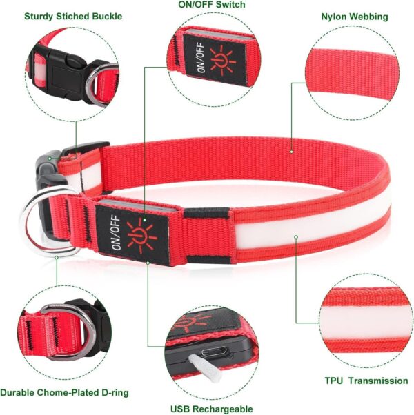 Light Up Dog Collars DQGHQME Led Dog Collar USB Rechargeable Safety Lighted Dog Collar for Small Medium Large Dogs，Flashing Lights for Dog Walking at Night Glow in The Dark Camping Dog Collars. - Image 3