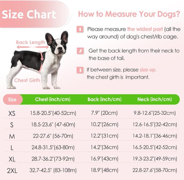 AOFITEE Small Dog Life Jacket, Dog Life Vest for Swimming, XS Dog Swimming Vest, Reflective Dog Floating Vest Swimsuit with Rescue Handle and Zipper, Dog Swimming Vest for Small Medium Large Dogs XS - Image 2