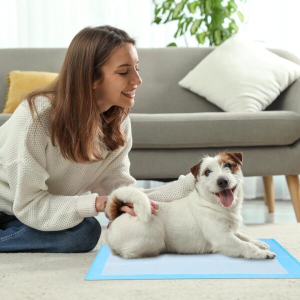 Super Absorbent Waterproof Dog and Puppy Pet Training Pad, Housebreaking Pet Pad, 50-Count Small-Size, 17.1’’X23.6’’, Blue - Image 5