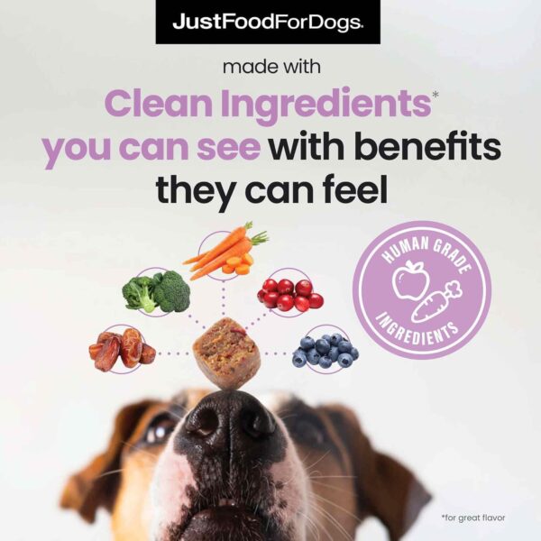 JustFoodForDogs Probiotic Booster Gut Health Soft Chews Supplement for Dogs, Digestive Health Support, Diarrhea, Human Grade Ingredients - 45 count - Image 3