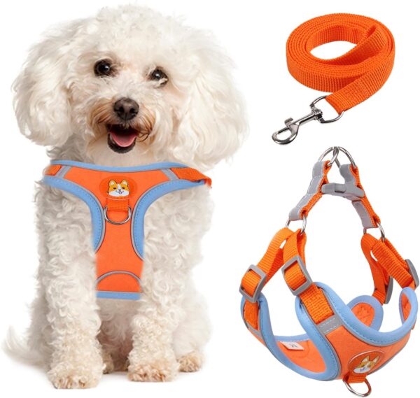 Dog Harness (Orange, S) - Adjustable No-Pull Harness for Small Dogs, Reflective, Soft & Breathable, Anti-Pull, 2 Leash Clips, Easy to Wear & Take Off, Ideal for Walking & Training