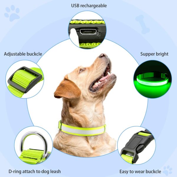 Light Up Dog Collars - USB Rechargeable LED Dog Collar, Adjustable Lighted Pet Collar, Reflective Flashing Dog Collar Lights for Night Walking (Large, Green) - Image 2