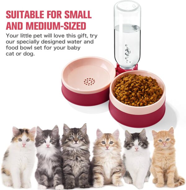 Cat Food Bowl, Cat Bowls Whisker Friendly with Water Dispenser for Cats and Small Dogs - Image 8