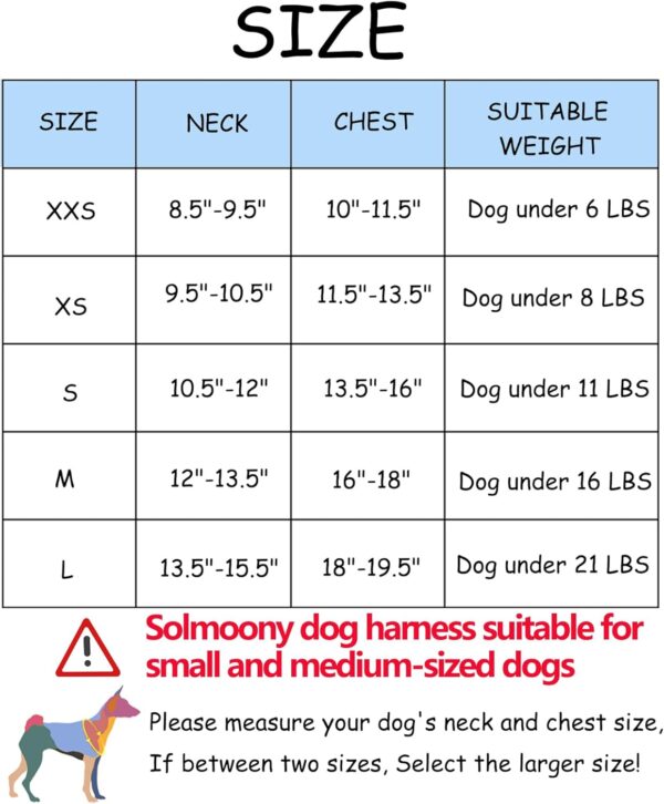 Dog Harness for Small Medium Dogs,Easy to Put on Soft Mesh Dog Harness and Leash Set for Kitten and Puppy，Step in Adjustable Dog Harness with Padded Vest (S, Blue) - Image 6