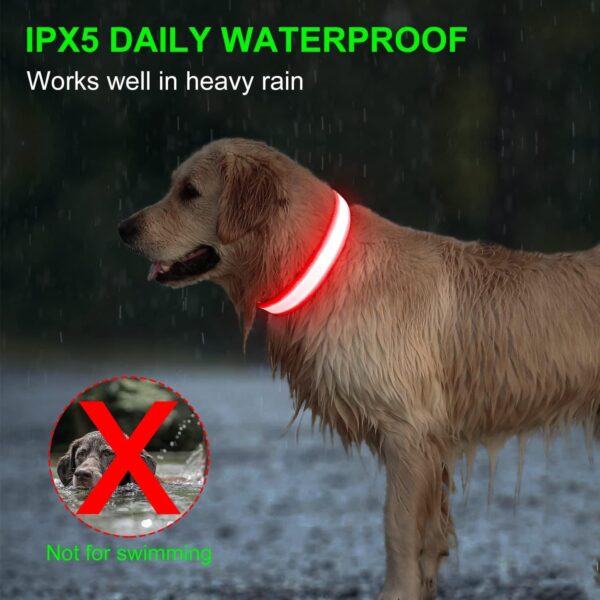 Light Up Dog Collars DQGHQME Led Dog Collar USB Rechargeable Safety Lighted Dog Collar for Small Medium Large Dogs，Flashing Lights for Dog Walking at Night Glow in The Dark Camping Dog Collars. - Image 5