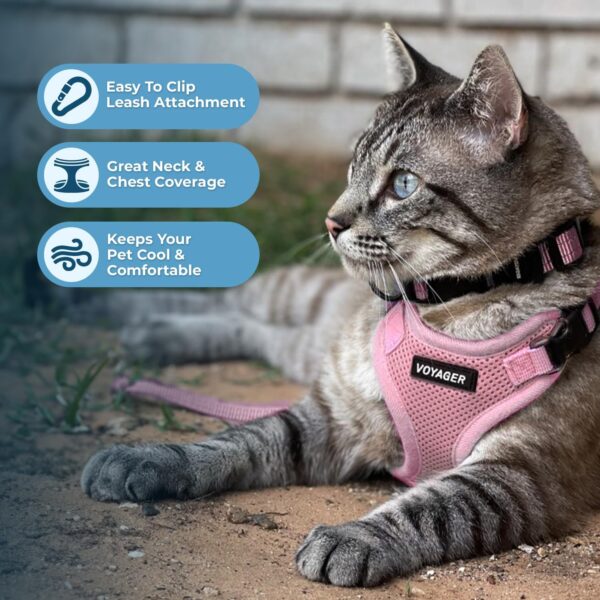 Voyager Step-in Lock Adjustable Cat Harness w. Cat Leash Combo Set with Neoprene Handle 5ft - Supports Small, Medium and Large Breed Cats by Best Pet Supplies - Pink, XXXS - Image 5