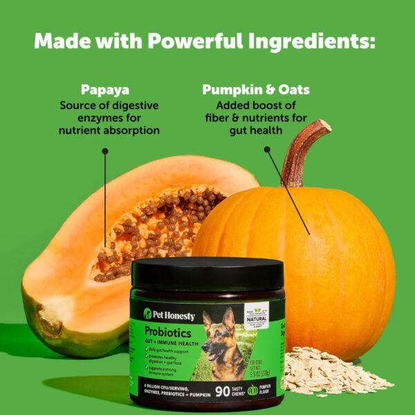 Pet Honesty Probiotics for Dogs - Digestive Enzymes Promotes Gut Health, Dog Probiotics for Diarrhea & Bowel Support, Immunity Health & Itch Relief, Prebiotics and Probiotics (Pumpkin 180 ct) - Image 3