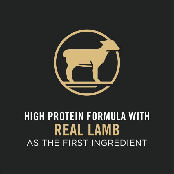 Purina Pro Plan High Protein, Small Bites Dog Food, SPORT 27/17 Lamb & Rice Formula - 37.5 lb. Bag - Image 3