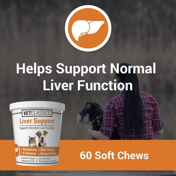 Vet Classics Liver Support Pet Health Supplement for Dogs, Cats – Liver Functions – B-Vitamins, Glutathione, Milk Thistle – Soft Tablets, Chews – 60 Soft Chews - Image 2