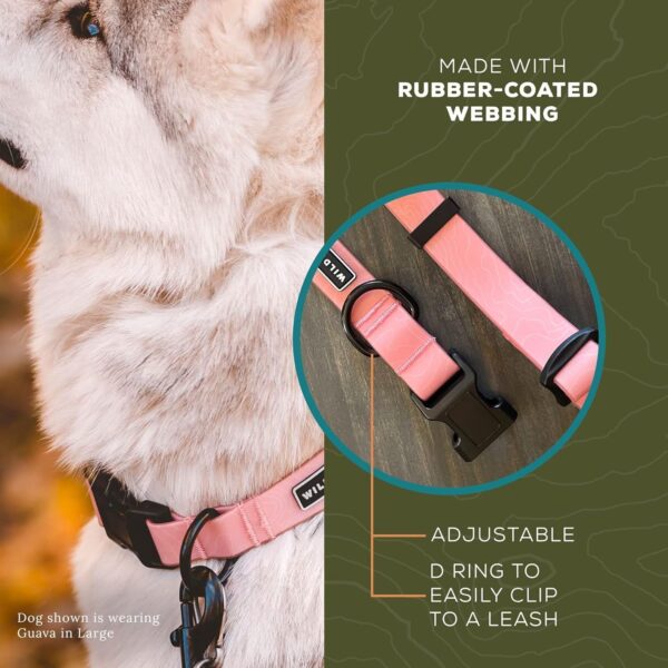 Wilderdog Waterproof Dog Collar - Repels Water & Dirt - Large 17"-24" - Guava - Image 4