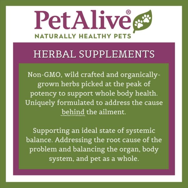 PetAlive Muscle & Joint Support-S for Bone and Joint Health and Comfort, 60 Caps - Image 6