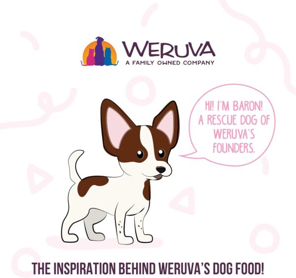 Weruva Meals 'n More Natural Wet Dog Food, Belly Belly Nice! Digestive Support Variety Pack, 3.5oz Cup (Pack of 10) - Image 8