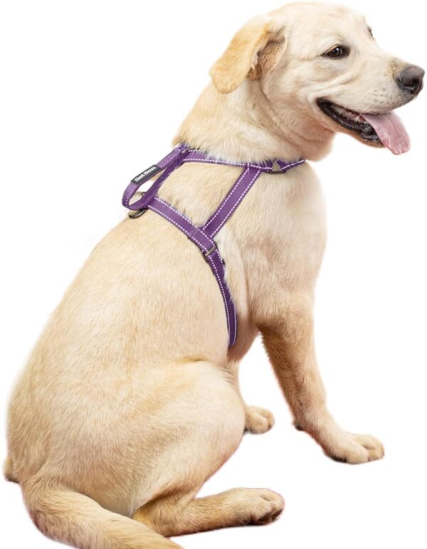 Dog Harness for Large Dogs, No Pull Dog Harness with 2 Adjustable Points & 1 Leash Clip, Reflective Comfortable Dog Vest with Easy Control Handle Ideal for Walking and Training, Purple,XL