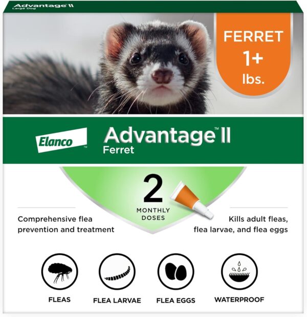 Advantage II Ferret Vet-Recommended Flea Treatment & Prevention | Ferret 1+ lbs. | 2-Month Supply