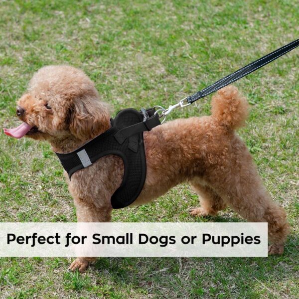 PINA Dog Harness for Small Dogs No Pull, Small Dog Harness and Leash Set, No Choke Breathable Mesh Dog Vest Harness, Lightweight Adjustable Small Medium Dog Harness - Easy to Put On and Take Off - Image 6