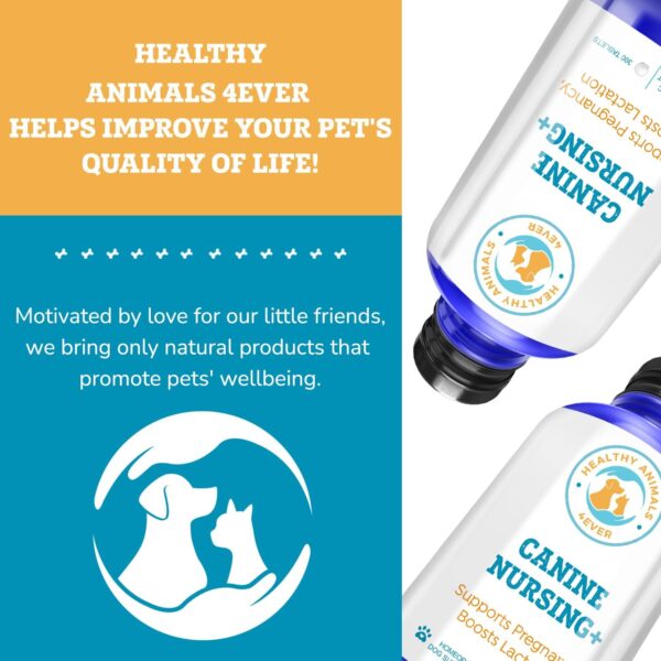 Healthy Animals 4Ever Supports Pregnancy, Boosts Lactation May Prevent Potential Pregnancy & Nursing Issues Safe, Caring, Natural Support Solution Fast Acting Formula Guarantee - Image 7