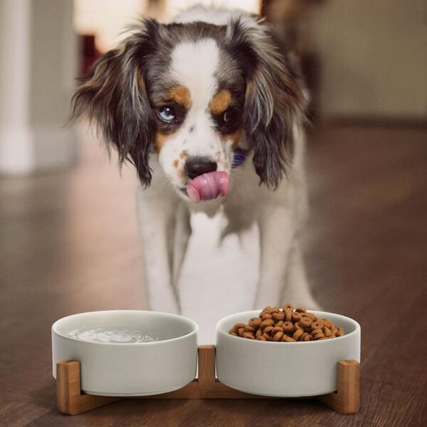 SPUNKYJUNKY Ceramic Dog and Cat Bowl with Wood Stand Non-Slip Matte Glaze Weighted Food Water Set for Cats &Small Dogs 13.5OZ - Image 2