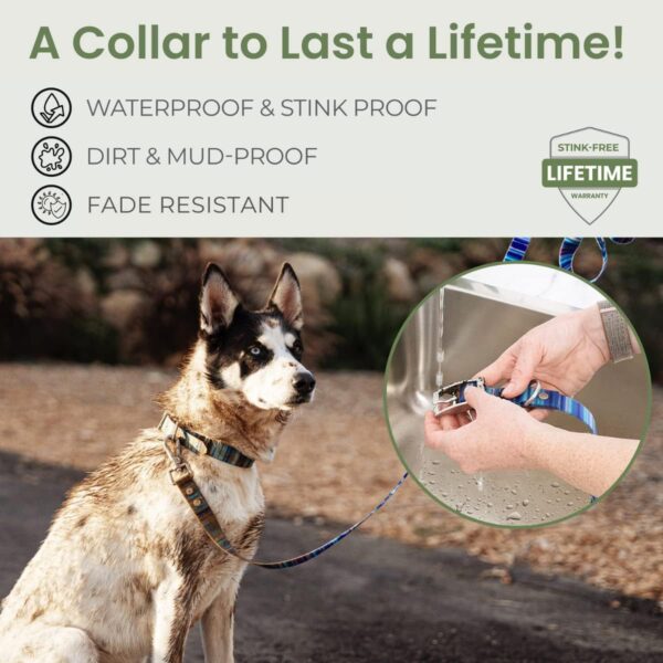 Waterproof Dog Collar | 100% Washable, Stink Proof, Odor Proof, Fade Proof | Easy to Clean, Quick-Dry, Soft & Flexible Yet Durable | Rust & Corrosion Resistant Zinc Alloy Buckle | Teal-M 1" - Image 3