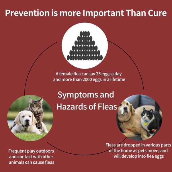 Flea and Tick Prevention for Dogs, X-Large Dog Flea & Tick Control with Fipronil, Long-Lasting & Fast-Acting Topical Flea & Tick Treatment Drops for Extra Large Dogs, 89 to 132 lbs, 3 Doses - Image 2