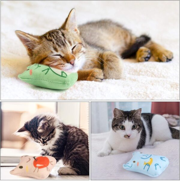 Dorakitten Catnip Toys for Indoor Cats - 5PCS Plush Cat Chew Toys Teething Interactive Catnip Filled Kitten Toy Soft Pet Toy (Animal Shapes) - Image 2