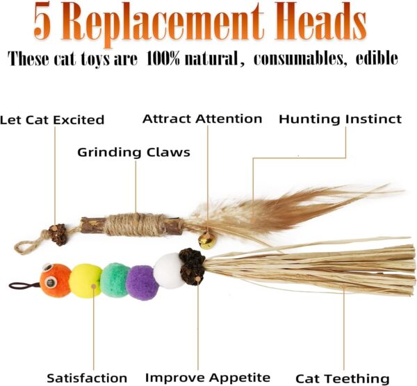 Hanging Interactive Cat Toys, Indoor Cats Chew Toy, Stimulation Silvervine Cat Dental Sticks with Feather Bell Plush Toy Teeth Nip Cleaning, Kitten Play Chase & Exercise Toy - Image 4