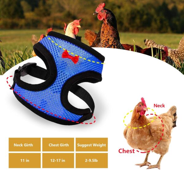 4 Pcs Chicken Harness and Leash for Hens Funny Chicken Accessories Comfortable Hen Vest Breathable Mesh Chicken Accessories for Hens - Image 3