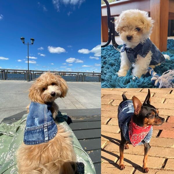 Dog Jean Jacket, Puppy Blue Denim Lapel Vest Coat Costume, Girl Boy Dog T-Shirt Clothes, Cool and Funny Apparel Outfits, Machine Washable Dog Outfits for Small Medium Dogs Cats (M) - Image 2