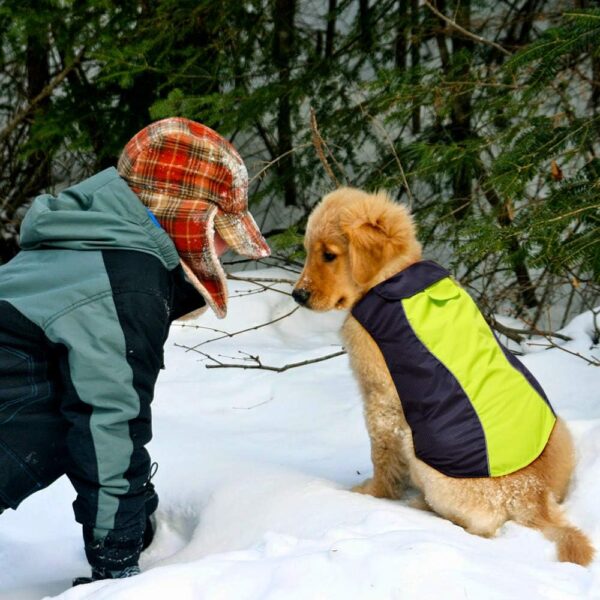 Dog Raincoat Waterproof Coats,Dog Jacket High Visibility Warm Vest Dog Clothes for Small Medium Large Dogs(Green-L) - Image 7