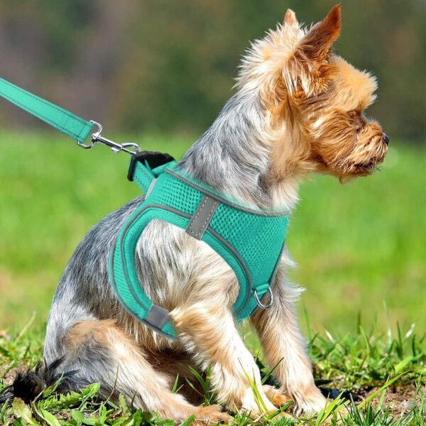 Joytale Small Dog Harness, Breathable Mesh Step-in Vest Harness, Reflective Soft Padded Harnesses Small Sized Dog for Walking, Teal, S - Image 2