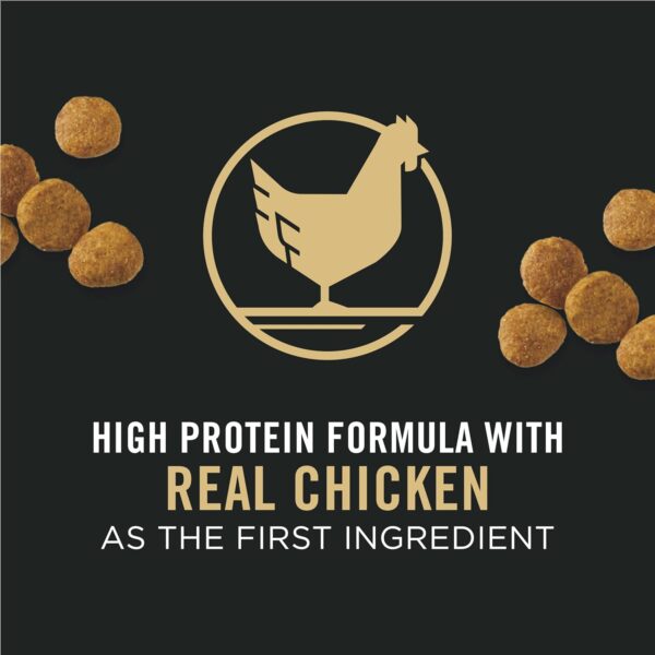 Purina Pro Plan High Protein Dry Puppy Food, Chicken and Rice Formula - 6 lb. Bag - Image 2